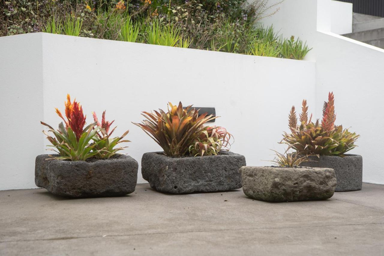 Palacio - Exclusive Villa, Caloura Água de Pau エクステリア 写真