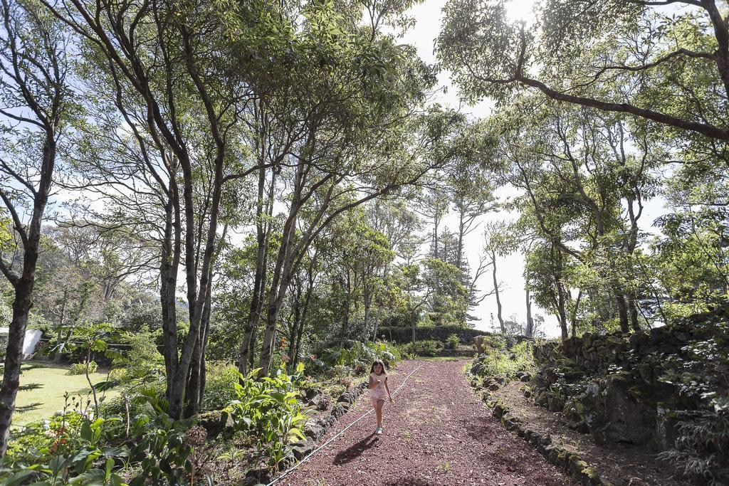 Palacio - Exclusive Villa, Caloura Água de Pau エクステリア 写真